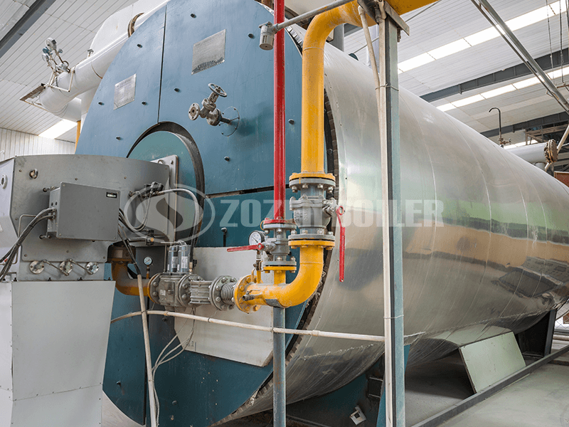 6 MW YYW thermal fluid heater for petrochemical factory