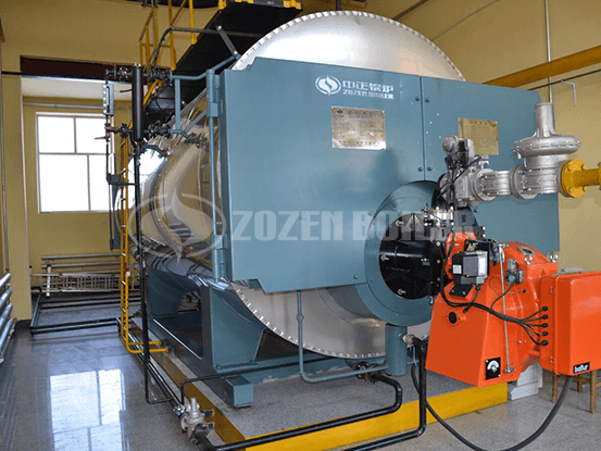 10 tph WNS condensing gas-fired boiler rubber plant