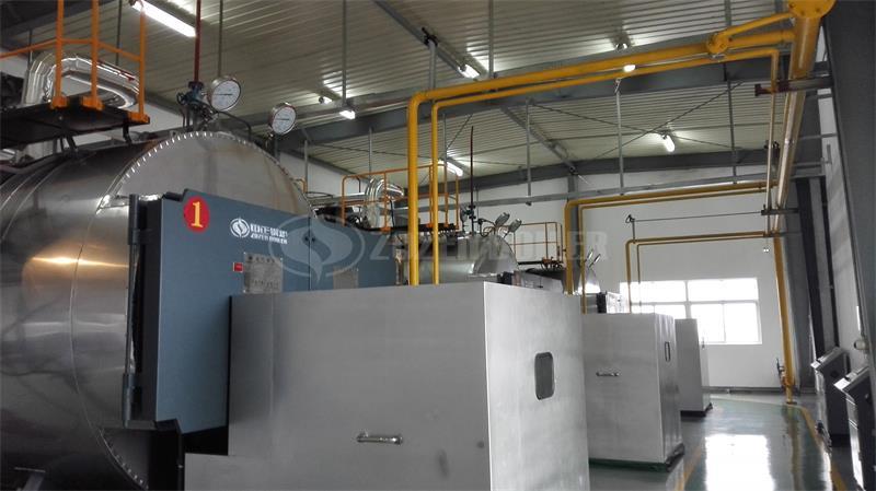 6 tph WNS condensing gas-fired steam boiler for rare earth factory