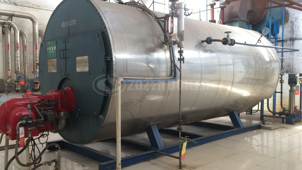 10 tph  WNS condensing gas-fired steam boiler for rare earth factory