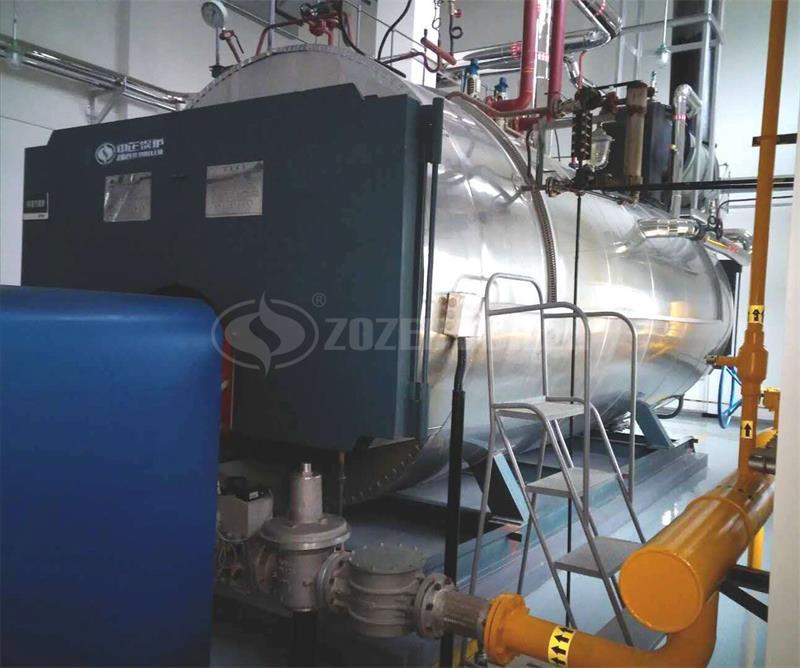 1 tph WNS condensing gas-fired boiler in Changzhou