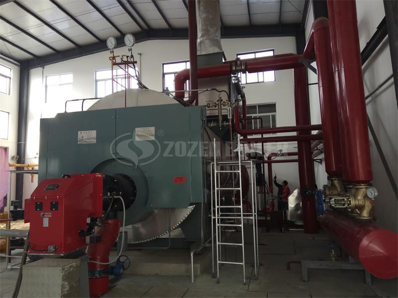 15 tph WNS condensing gas-fired boiler for food industry