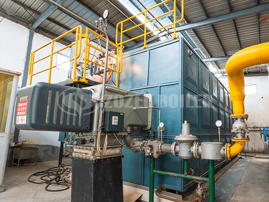 25 tph SZS condensing gas-fired boiler for lithium industry