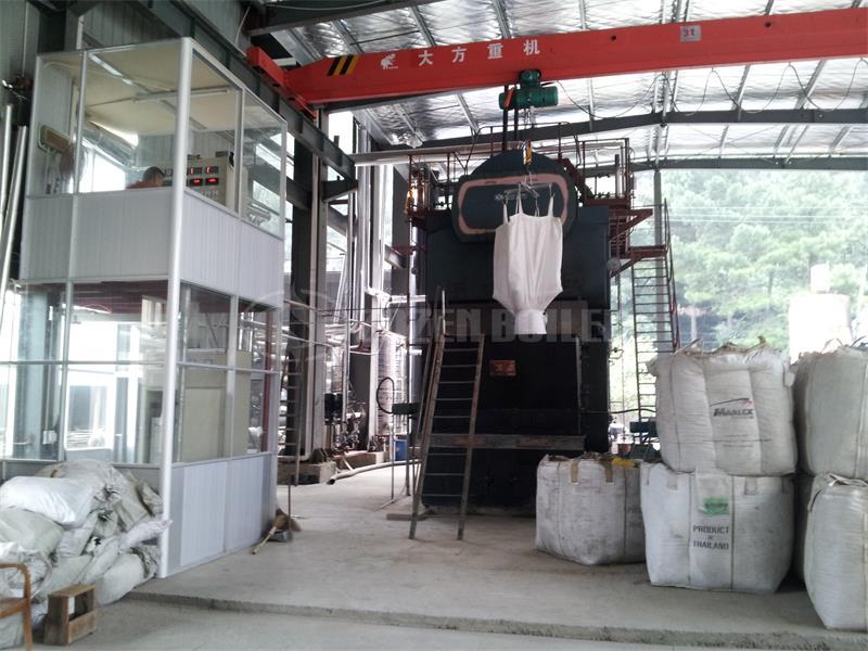 4 tph DZL coal-fired steam boiler for rubber industry