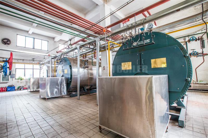 4 tph WNS condensing gas-fired boiler for feed industry