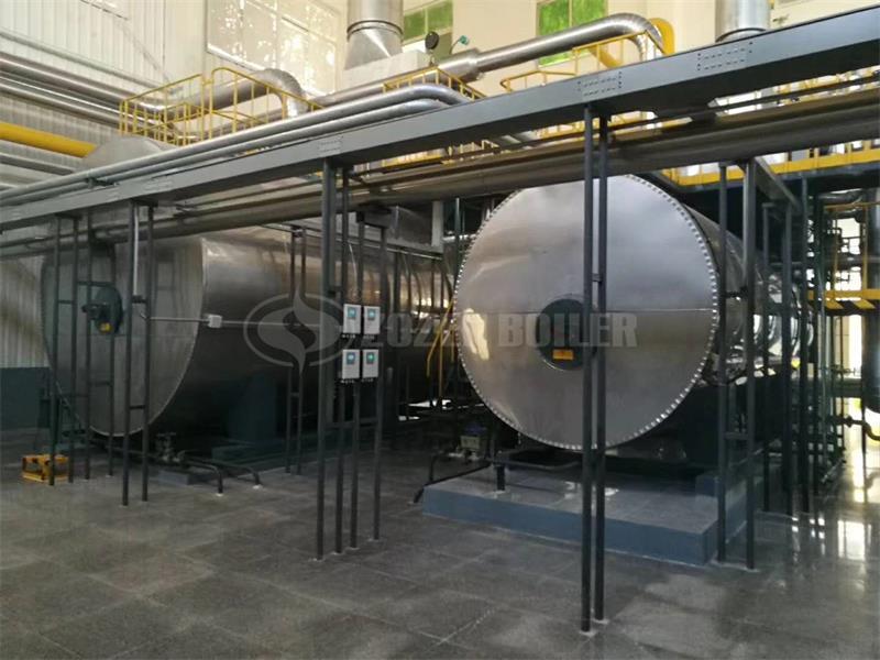 1.4 MW YYW thermal fluid heater for petrochemical factory