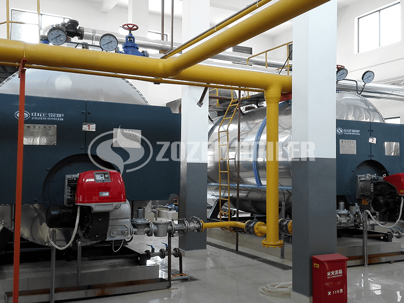 2.8 MW WNS gas-fired hot water boiler for agricultural park