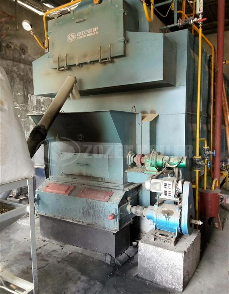 4 tph DZL biomass-fired steam boiler for photovoltaic factory