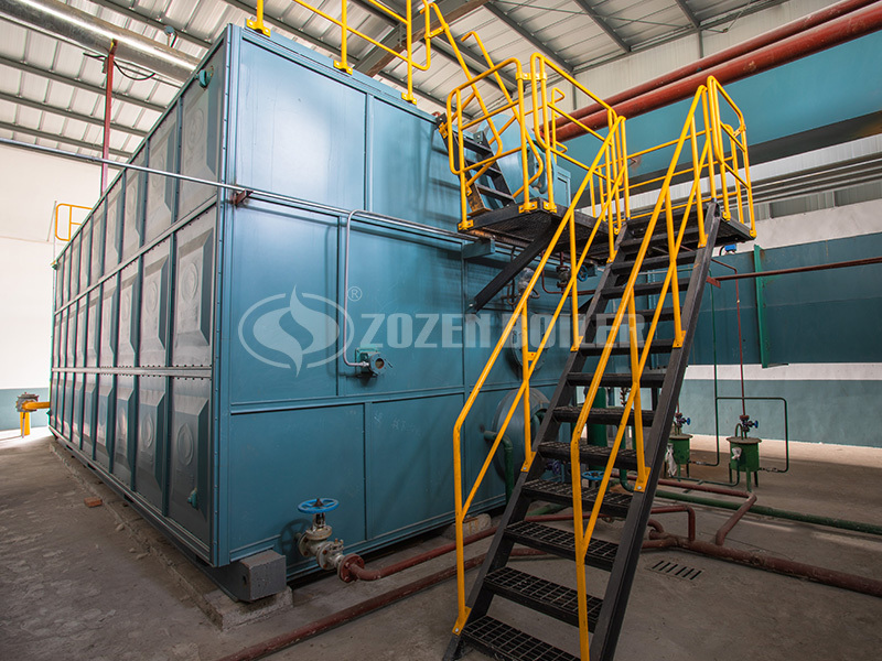 25 tph SZS condensing gas-fired steam boiler project for food industry