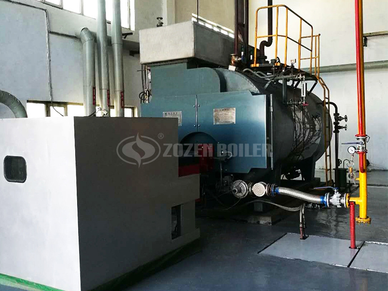 4 tph WNS series gas-fired fire tube boiler project for NongFu Spring