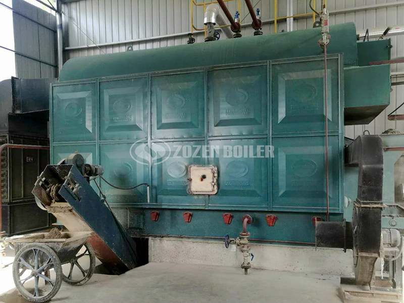 4 tph DZL biomass-fired fire tube boiler project for food industry