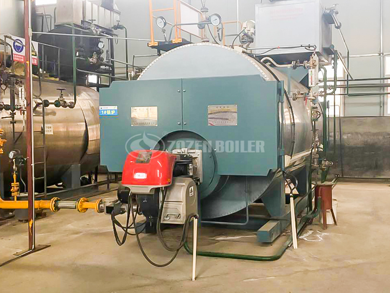 4tph WNS gas-fired firetube boiler project for food industry