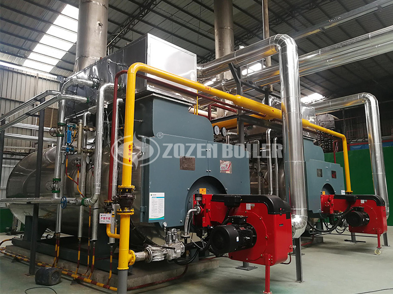 10tph WNS fire tube boiler project for new energy industry