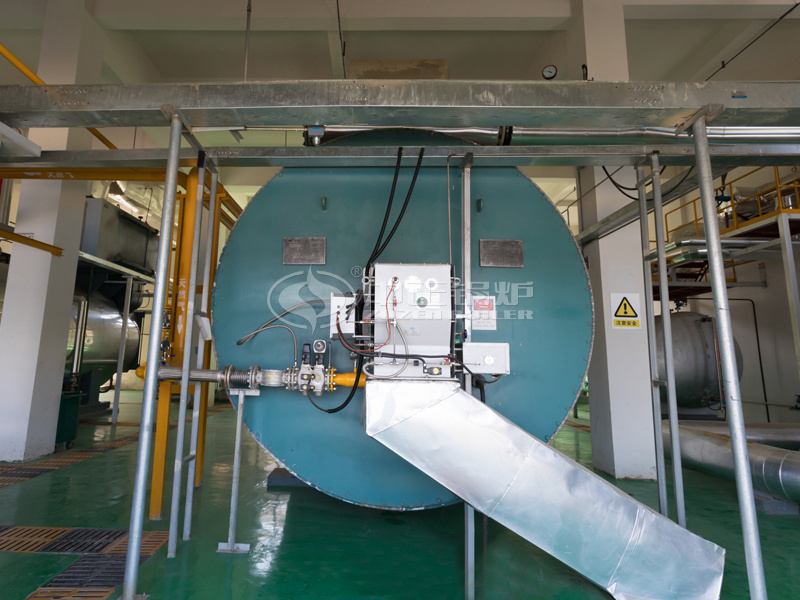 8.2 MW gas-fired thermal fluid heater project for chemical industry