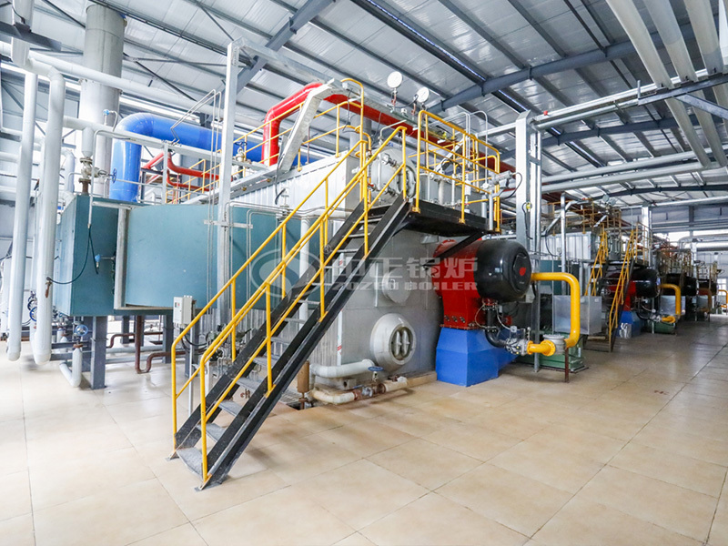 25 tph SZS condensing gas-fired steam boiler for non-ferrous industry