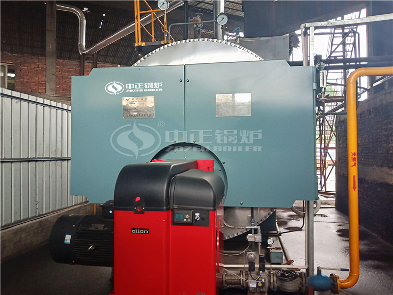 10 tph WNS series natural gas fired steam boiler for textile industry