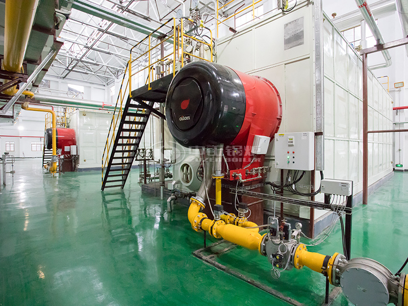 35 tph SZS series condensing gas-fired steam boiler for chemical industry