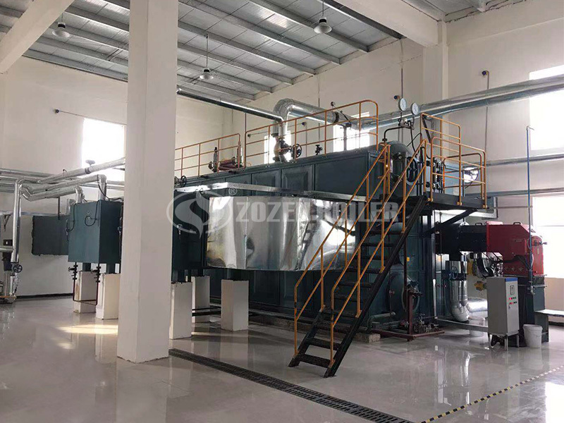 20 tph SZS gas-fired water tube boiler project for food industry