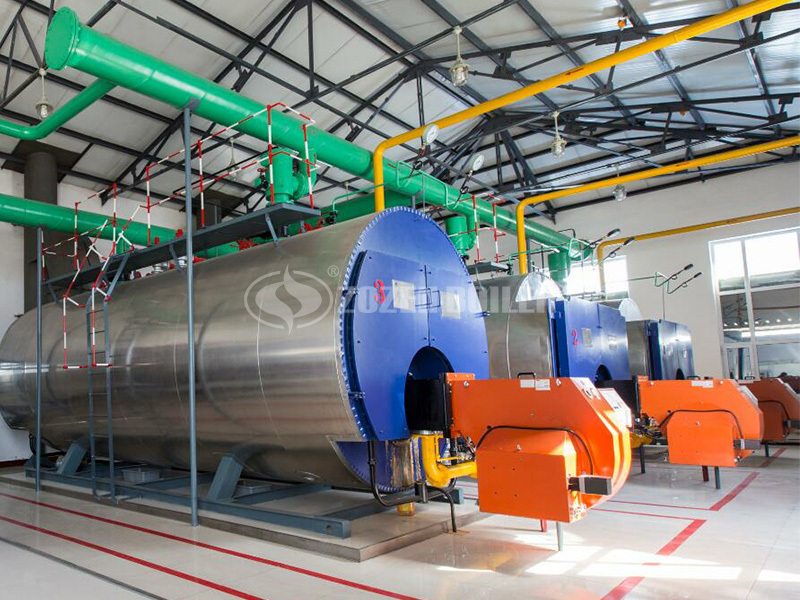 7MW WNS gas-fired hot water boiler project for Yinlang ranch