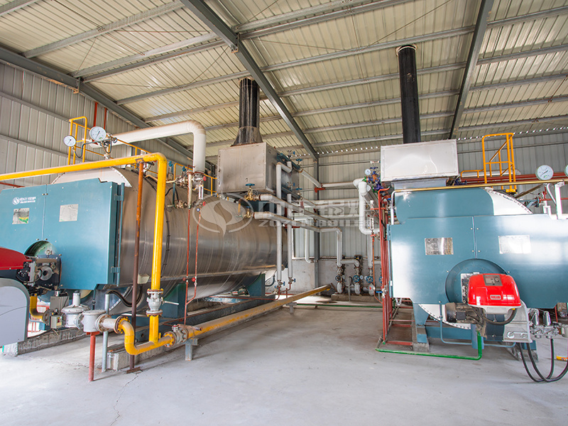 10 tph WNS condensing gas-fired steam boiler project for food industry