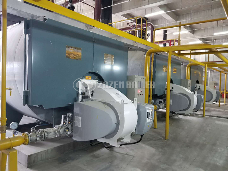 7MW WNS series gas-fired hot water boiler for OUTLET Mall