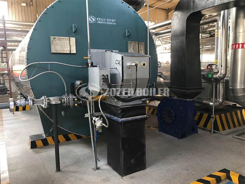 ZOZEN thermal fluid heater made a big hit in Mauritius