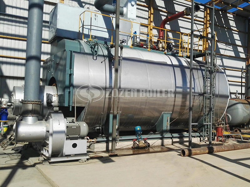 20 tph WNS gas-fired fire tube boiler project for biotechnology industry