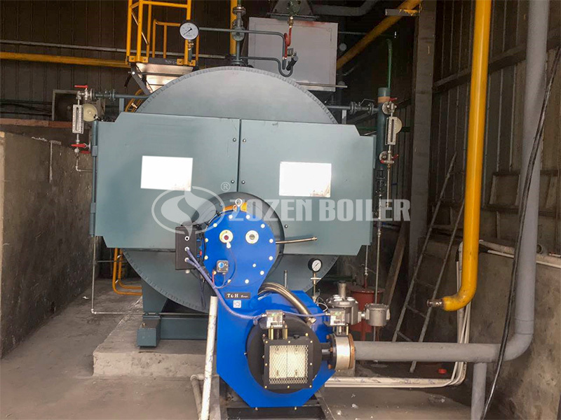 2tph WNS series gas-fired steam boiler project for feed industry