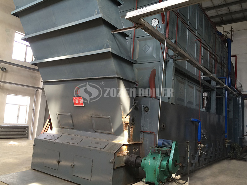 20tph SZL coal-fired steam boiler project for food industry