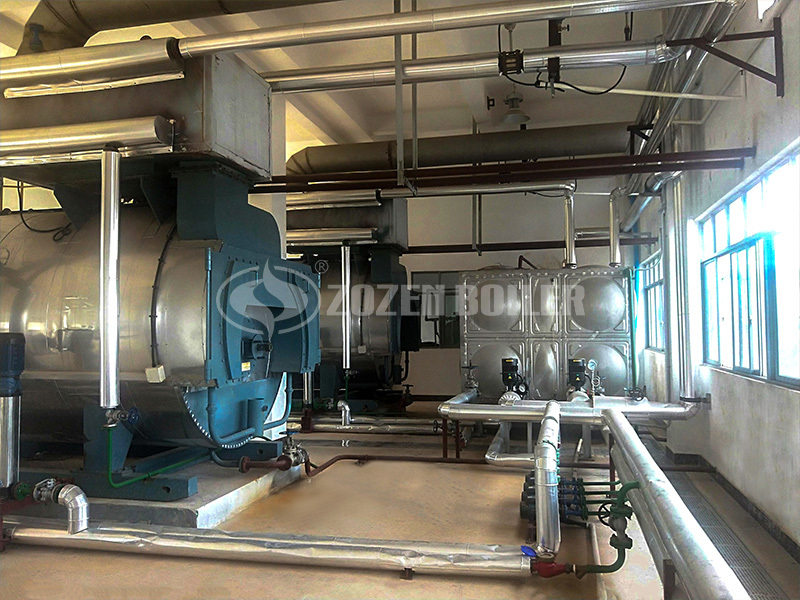 4 tph WNS gas-fired fire tube boiler project for dairy industry