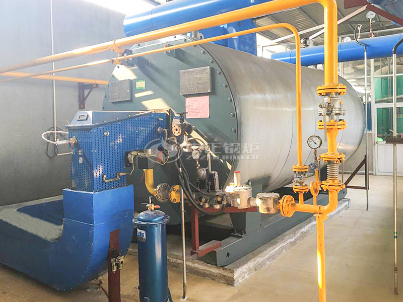 2.1MW horizontal gas-fired thermal fluid heater for chemical industry