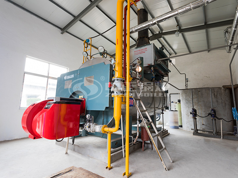 4 tph WNS series condensing gas-fired steam boiler project for textile industry