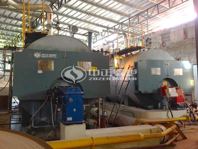 4 tph WNS condensing steam boiler project for paper industry