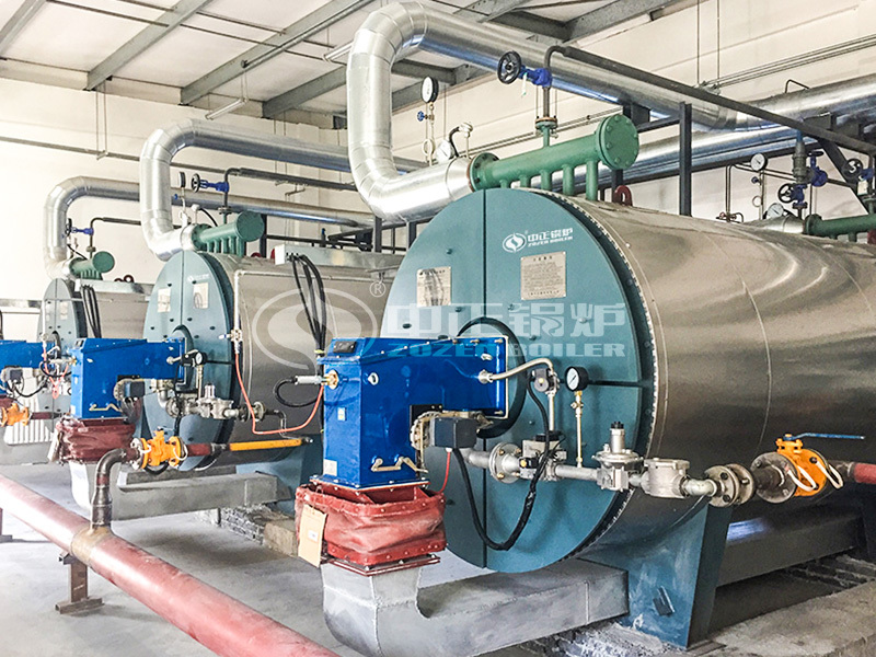 1.4 MW horizontal gas-fired thermal fluid heater project for food industry