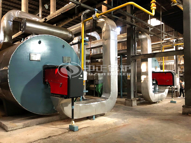 6MW YQW series gas-fired thermal fluid heater project for food industry