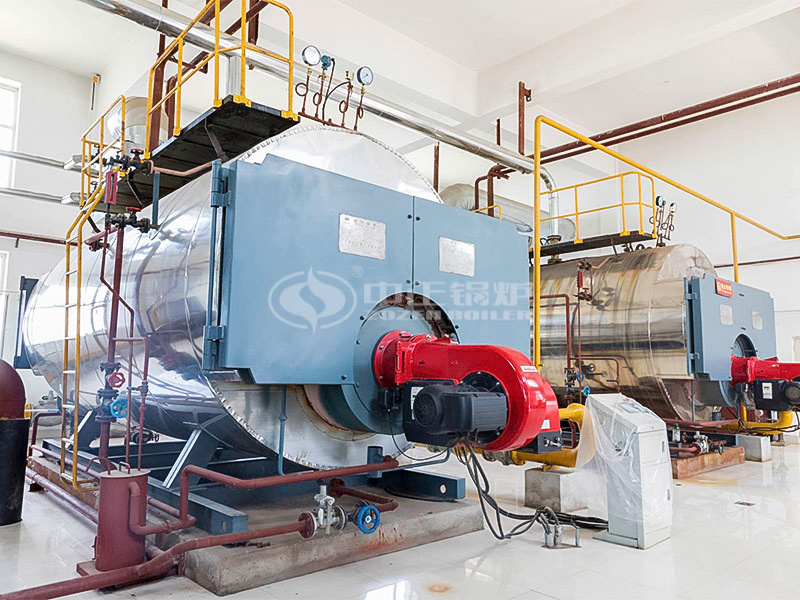 6 tph WNS series condensing gas-fired steam boiler for battery industry