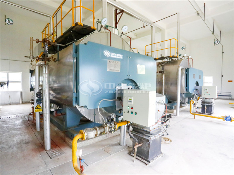 6 tph WNS condensing gas-fired fire tube boiler project for chemical industry