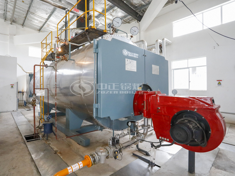 8 tph WNS series condensing gas-fired steam boiler project for food industry