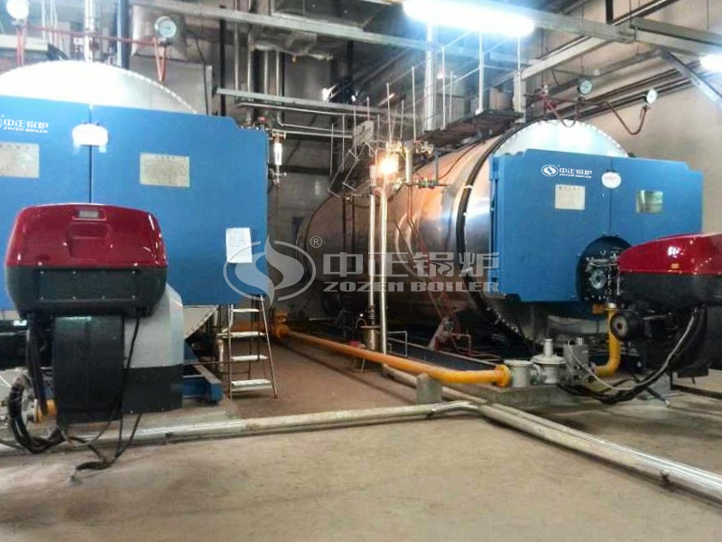 10 tph WNS series gas-fired steam boiler project for electronics industry