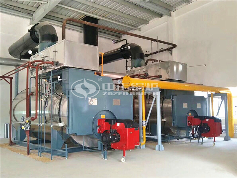 12 tph WNS series condensing gas-fired steam boiler for new energy industry