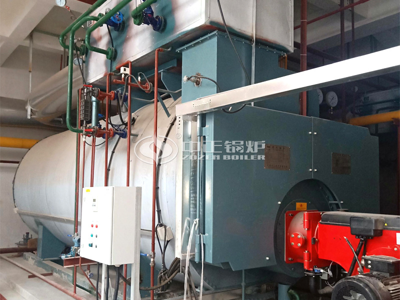 10 tph WNS series condensing gas-fired steam boiler for biomedical park