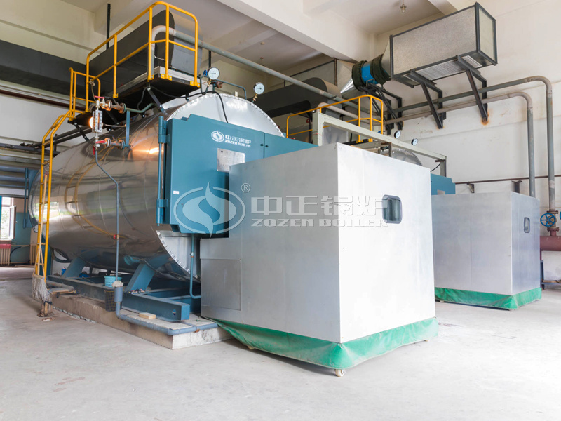 4 tph WNS series condensing gas-fired steam boiler project for universities