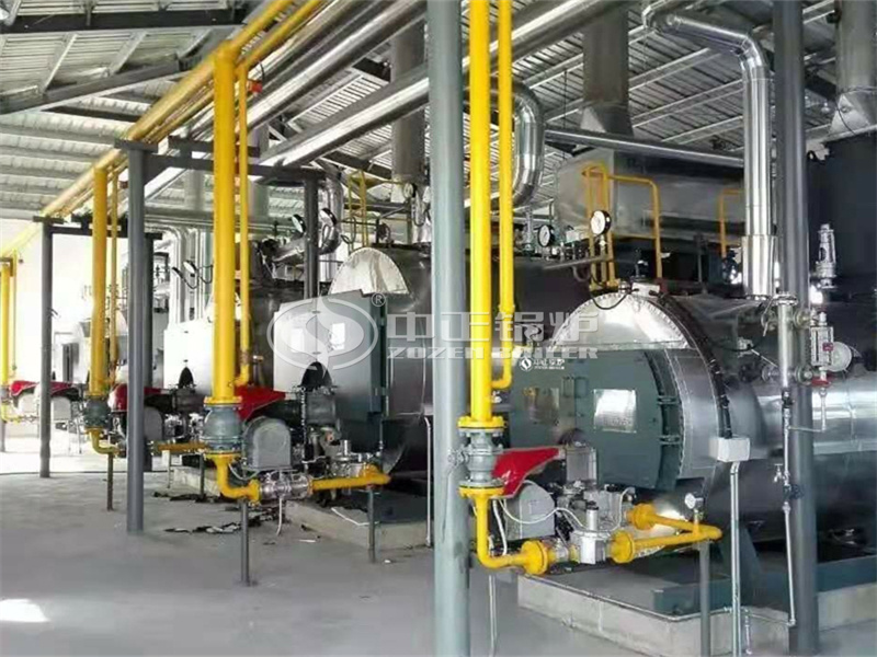 2.8MW WNS series condensing gas-fired hot water boiler for heating industry