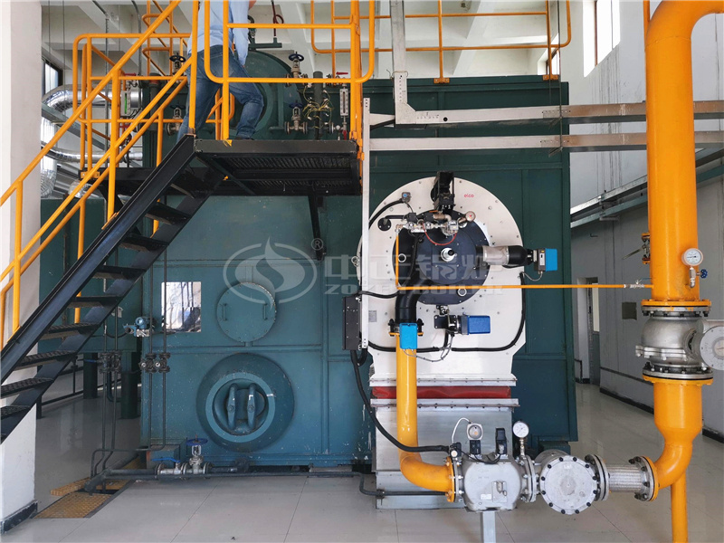 40 tph SZS series low NOx gas-fired steam boiler for pharmaceutical industry