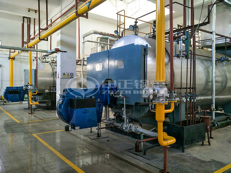 10 tph WNS series gas-fired steam boiler renovation project for Urumqi Railway