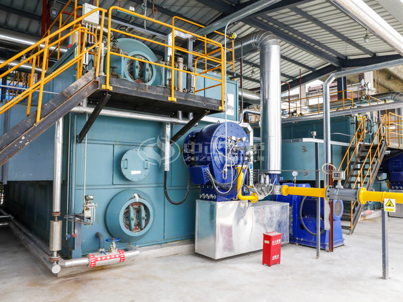 20 tph & 25 tph SZS series gas-fired steam boilers for rubber industry