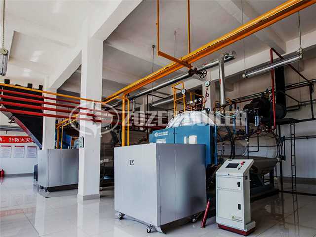 2 tph WNS condensing gas-fired boiler for feed industry