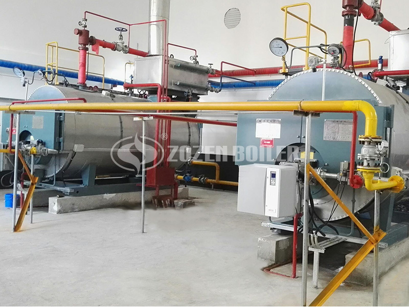 1.4MW WNS series gas-fired hot water boiler for heating industry