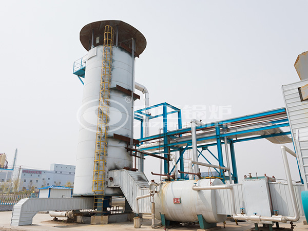 ZOZEN YQL series vertical thermal fluid heater project