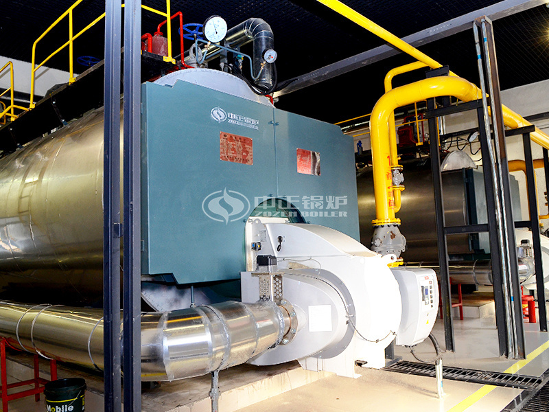 ZOZEN WNS series gas-fired steam boiler for Vinda